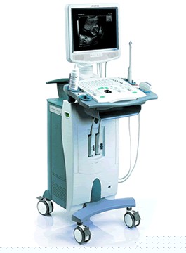 邁瑞DP-9900 Plus黑白B超全數字黑白超聲診斷系統