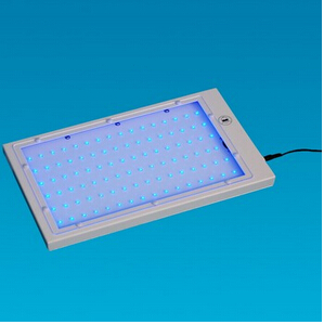 黃疸治療燈盒 BL-100