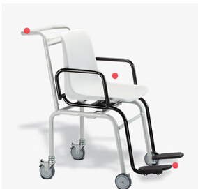 電子座椅秤 seca 956