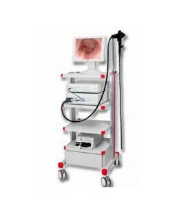 電子胃鏡GVE-2100P