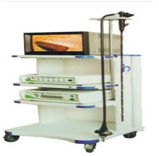 電子上消化道鏡(電子胃鏡)EMV-200