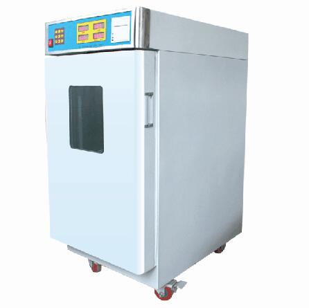 環(huán)氧乙烷滅菌器(自動型立式)