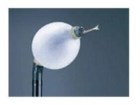 雙氣囊電子小腸鏡 EN-450P5/20