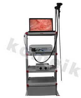 電子胃鏡 UGV-66P vet