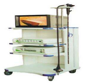 電子上消化道鏡(電子胃鏡)EMV-200