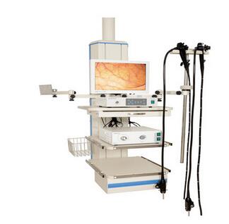 電子上，下消化道內鏡系列 OEV -G166