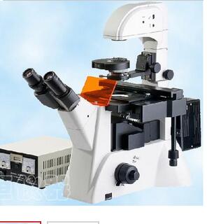 三目倒置熒光顯微鏡XDY-200