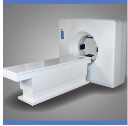 內生場腫瘤治療系統 NRL-004