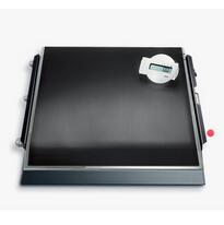 電子平臺(tái)秤seca 675