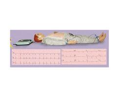 新型多種心電圖電腦模擬人 XC-XD-1