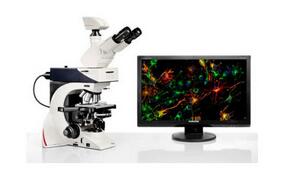 徠卡顯微鏡 DM2500 & DM2500 LED