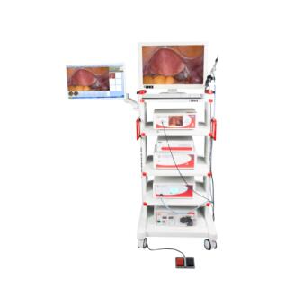 達(dá)爾邦DP-HD902高清內(nèi)窺鏡一套