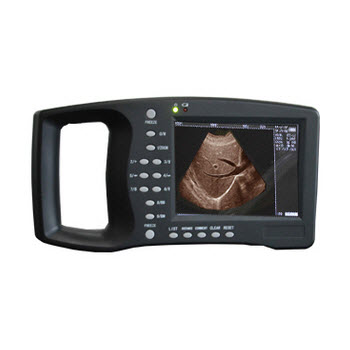 RH-300AVET.jpg RH-300AVET.jpg