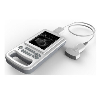 RH-300AVE全數(shù)字獸用超聲診斷儀