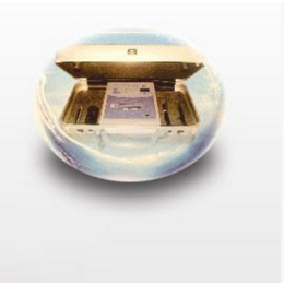 日本原裝進口 HIGH VITALIONT離子導(dǎo)入儀