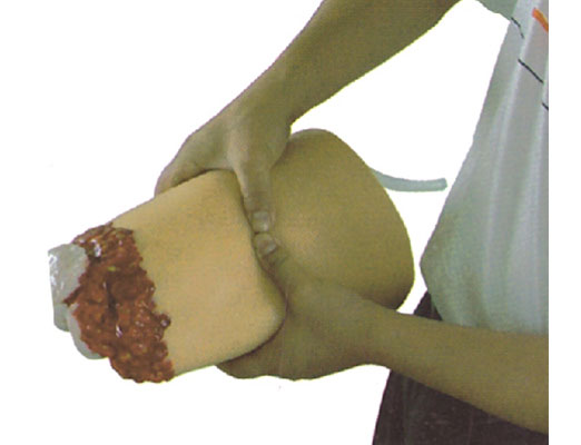 下肢外傷斷肢止血模型?KAS/H3008