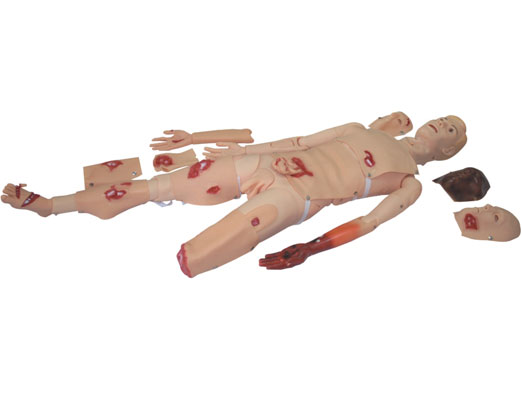 創傷模型KAS/110