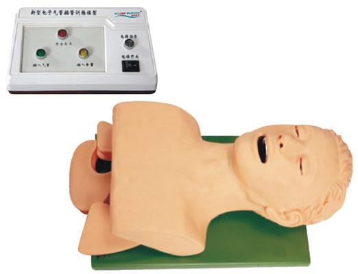 電子人體氣管插管訓(xùn)練模型KAS-5S