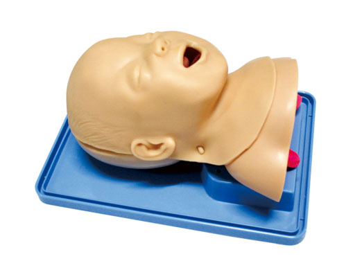 嬰兒氣管插管訓(xùn)練模型?KAS-15/2