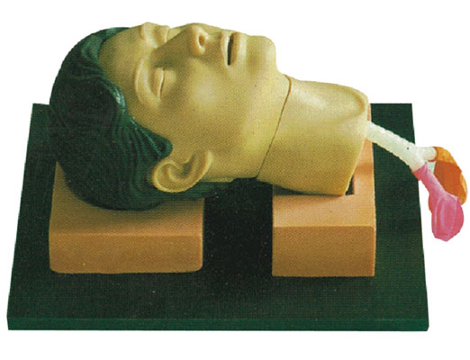 環(huán)甲膜穿刺和切開(kāi)訓(xùn)練仿真模型?KAS-CK1261