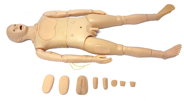 整體鼻腔吸痰及護(hù)理模型人KAS/H127