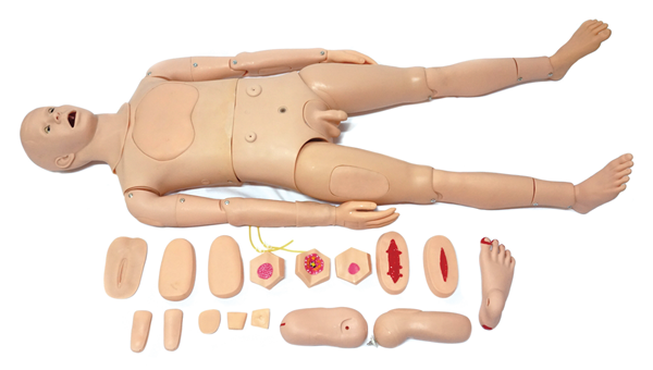 全功能護(hù)理人訓(xùn)練模型（男性）?KAS/H125