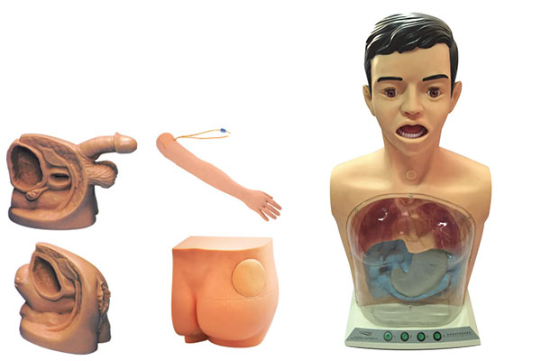 新型基礎(chǔ)護理實習操作模型KAS-17