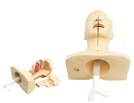  吸痰練習模型KAS-12