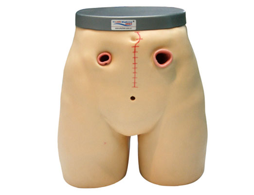  瘺管造口術護理模型?KAS-38