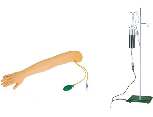 手臂動(dòng)脈穿刺及肌肉注射訓(xùn)練模型KAS-S3