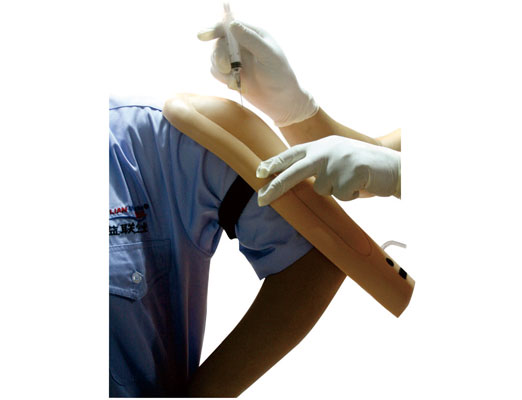 電子上臂肌肉注射訓(xùn)練模型KAS-S6