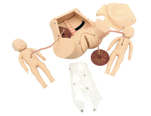 分娩綜合技能訓(xùn)練模型KAS/5A