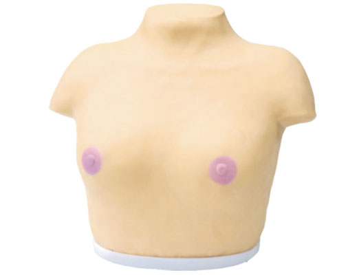 乳腺視診與觸診模型?KAS-F7B