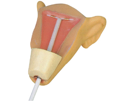  宮內(nèi)避孕器訓(xùn)練模型?KAS-B3-Ⅲ