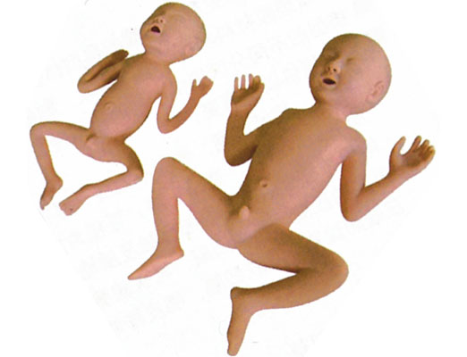 30周早產(chǎn)兒模型KAS/FT14