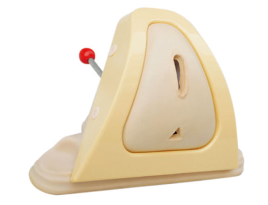 會(huì)陰切開(kāi)縫合技能訓(xùn)練模型?KAS-F3A