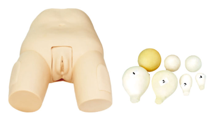 子宮底檢查評(píng)定模型KAS/F31