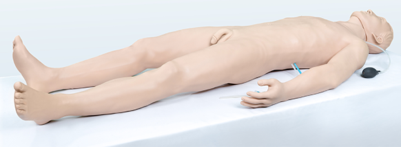 綜合穿刺仿生標準化病人（全身骨骼）KAS/D111