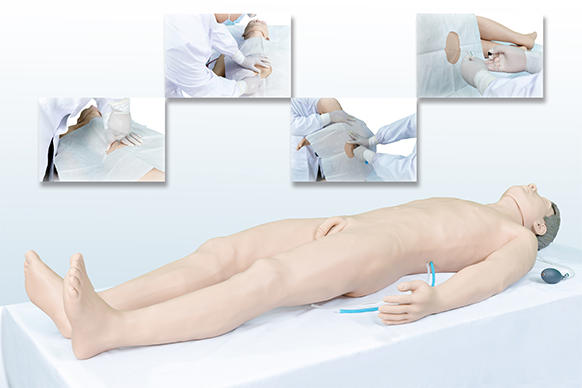 綜合穿刺術高仿真標準化病人KAS/D108