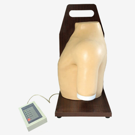 電子肩關節腔內注射模型KAS/L70　