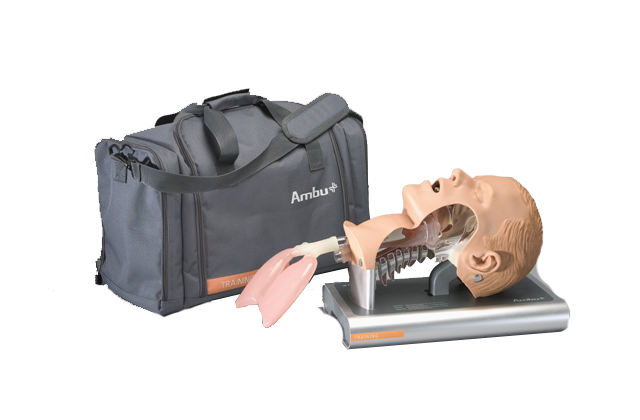 安保氣道管理模型