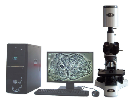 邁朗高倍智能變焦數碼顯微分析儀sj-tmdi810(III)