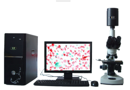 邁朗高倍智能變焦數碼顯微分析儀sj-tmdi810(I)
