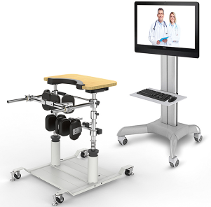 鑫諾站立平衡訓(xùn)練儀