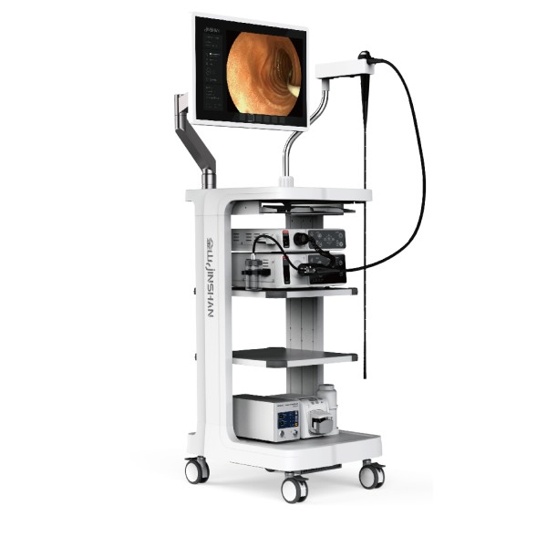 金山科技電子內(nèi)窺鏡VE-200P系列