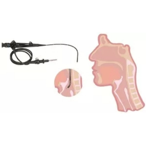 歐太纖維鼻咽喉內鏡OIF-ET66 Rihno-laryngo Fiberscopes