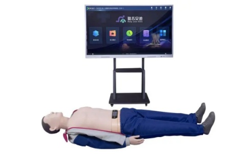 心肺復蘇模擬人