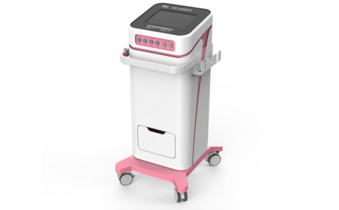 產(chǎn)后康復(fù)治療儀