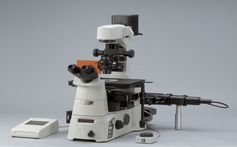 20250414_奧林巴斯顯微鏡_20250414_132838_7197.jpg 20250414_奧林巴斯顯微鏡_20250414_132838_7197.jpg