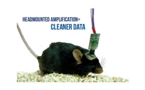 Pinnacle小動(dòng)物腦電記錄儀